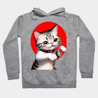 funny cat Hoodie